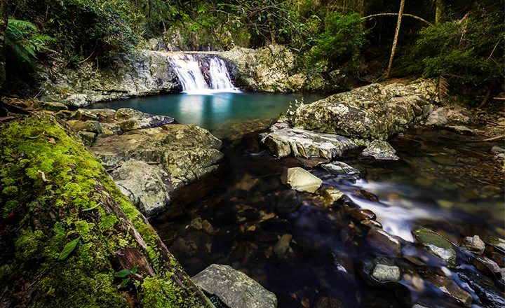 Cougal Cascades Connecting Southern Gold Coast