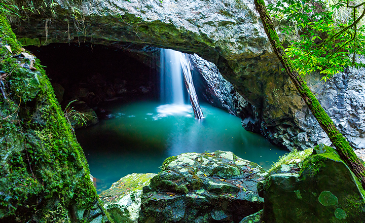 The Natural Bridge Springbrook National Park