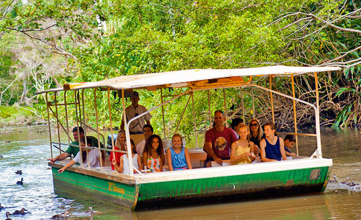 Wildlife Boat Cruise at Tropical Fruit World